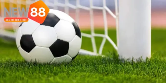 kèo đồng banh nửa trái